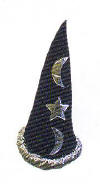 Velvet Wizard Hat from Hats USA
