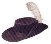 Musketeer Costume Hat